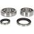 Kit Rulmenți Ambielaj Cu Semeringuri Prox KTM 250/300 04-23