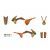 Kit Stickere Blackbird KTM Rockstar Energy 14-16